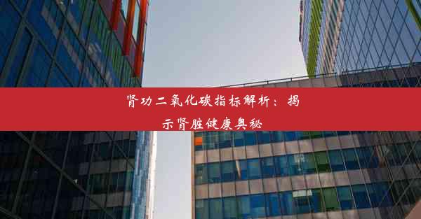 <b>肾功二氧化碳指标解析：揭示肾脏健康奥秘</b>