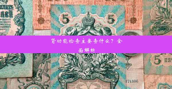 肾功能检查主要查什么？全面解析