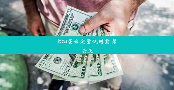 bca蛋白定量试剂盒 碧云天