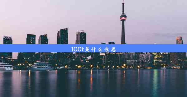 100t是什么意思