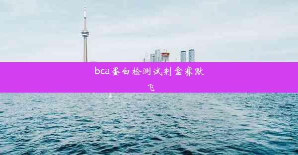 bca蛋白检测试剂盒赛默飞