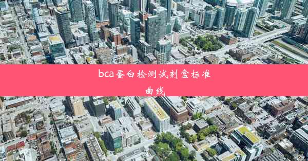 bca蛋白检测试剂盒标准曲线