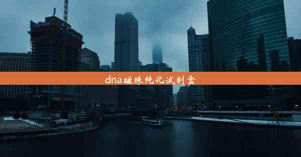 dna磁珠纯化试剂盒