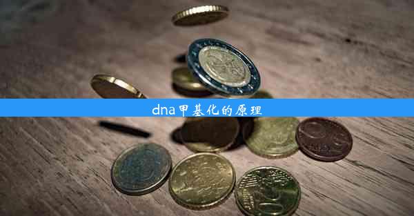 dna甲基化的原理