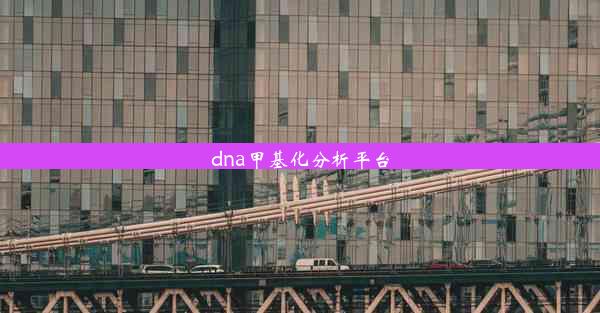 dna甲基化分析平台