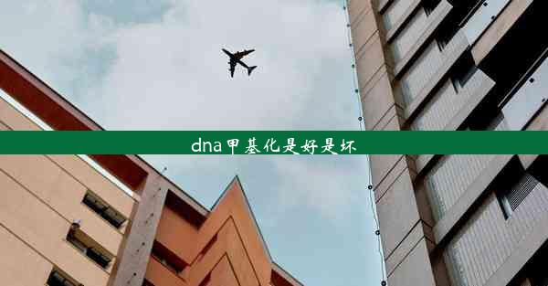 dna甲基化是好是坏