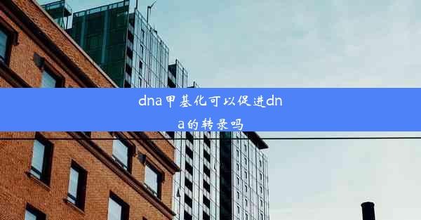 dna甲基化可以促进dna的转录吗