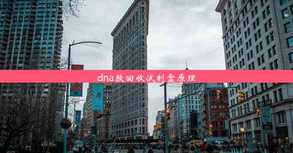 dna胶回收试剂盒原理