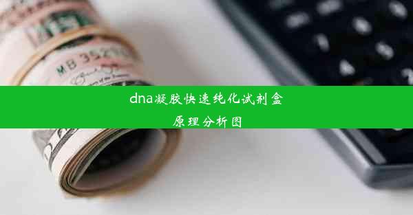 dna凝胶快速纯化试剂盒原理分析图