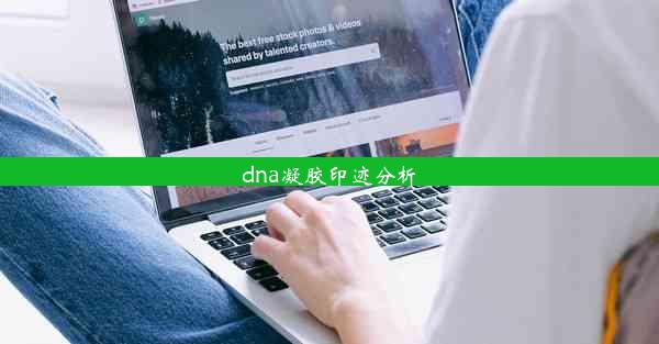 dna凝胶印迹分析