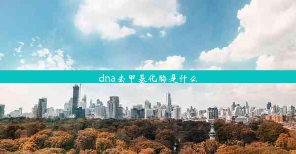 <b>dna去甲基化酶是什么</b>