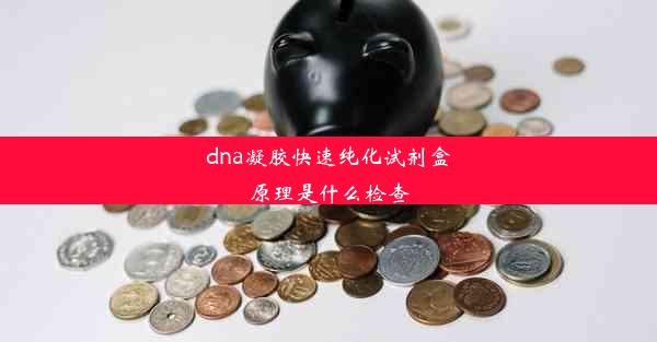 dna凝胶快速纯化试剂盒原理是什么检查