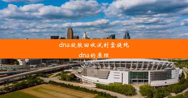 dna凝胶回收试剂盒提纯dna的原理