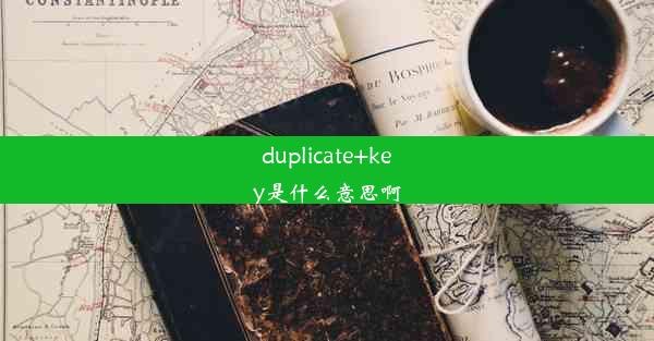 duplicate+key是什么意思啊