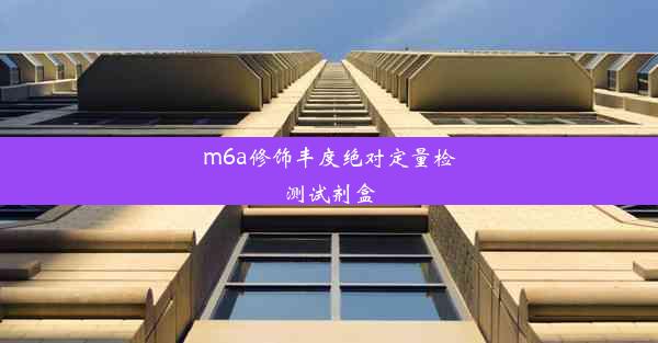 m6a修饰丰度绝对定量检测试剂盒