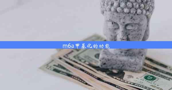 m6a甲基化的功能