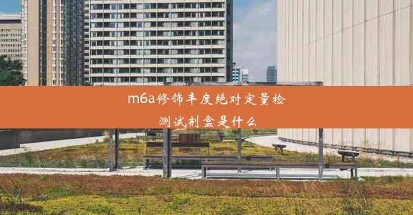 m6a修饰丰度绝对定量检测试剂盒是什么