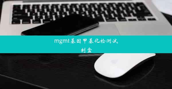 mgmt基因甲基化检测试剂盒