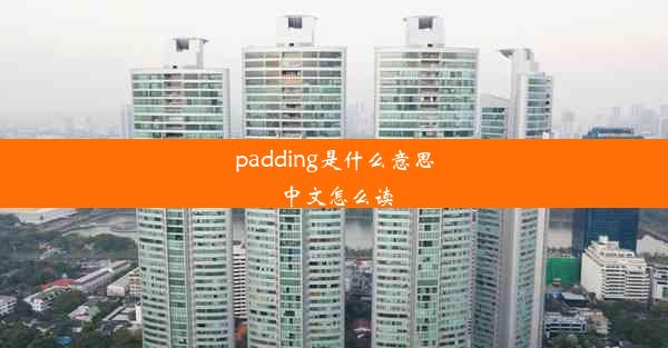 padding是什么意思中文怎么读