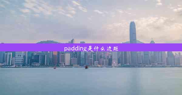 padding是什么边距