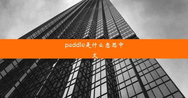 paddle是什么意思中文