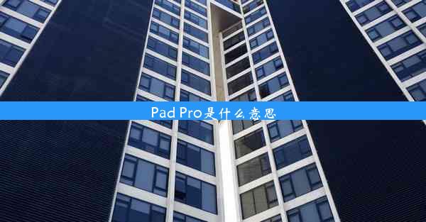 Pad Pro是什么意思