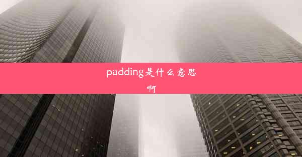 padding是什么意思啊