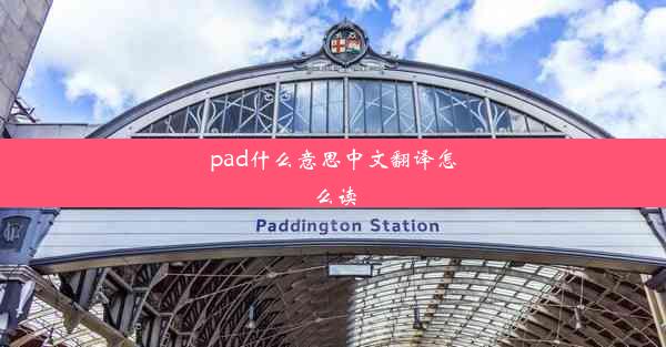 pad什么意思中文翻译怎么读