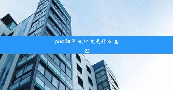 pad翻译成中文是什么意思