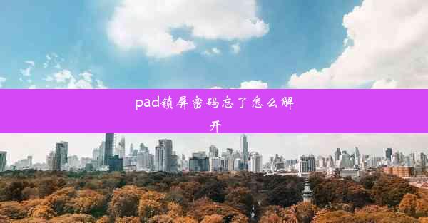 pad锁屏密码忘了怎么解开