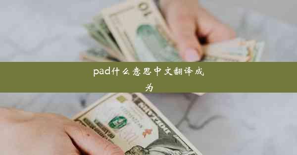 pad什么意思中文翻译成为