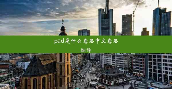 pad是什么意思中文意思翻译