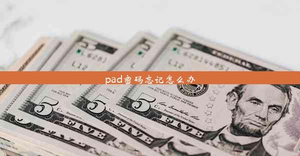 pad密码忘记怎么办