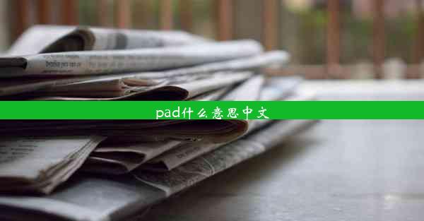 pad什么意思中文