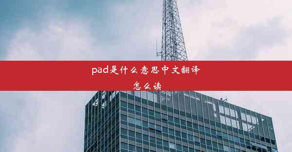 pad是什么意思中文翻译怎么读