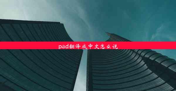 pad翻译成中文怎么说