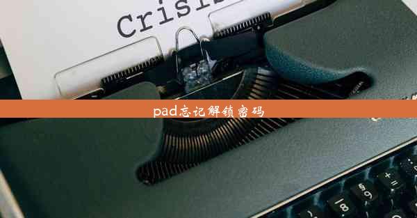 pad忘记解锁密码