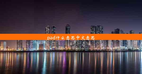 <b>pad什么意思中文意思</b>