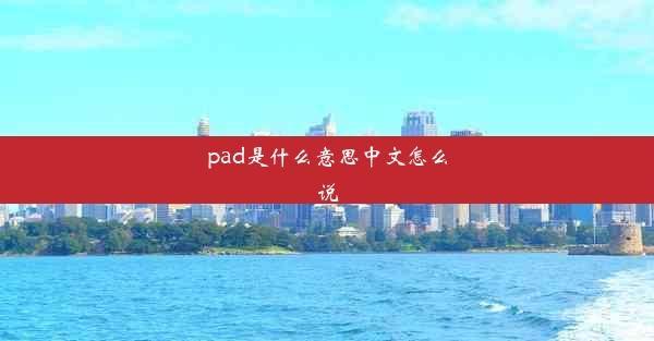 pad是什么意思中文怎么说