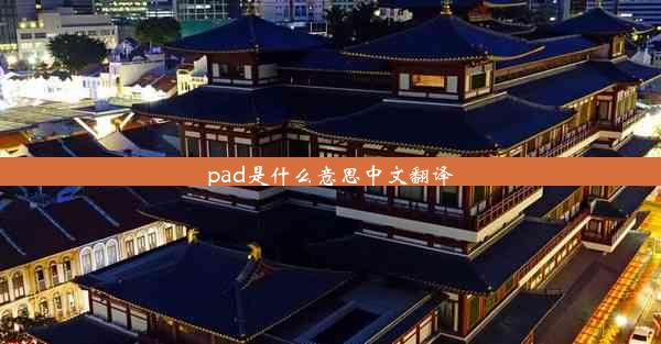 pad是什么意思中文翻译