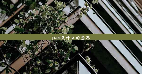 pad是什么的意思