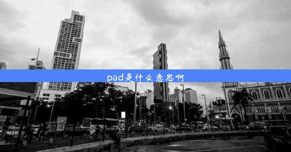 pad是什么意思啊