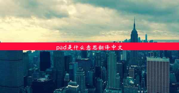 <b>pad是什么意思翻译中文</b>