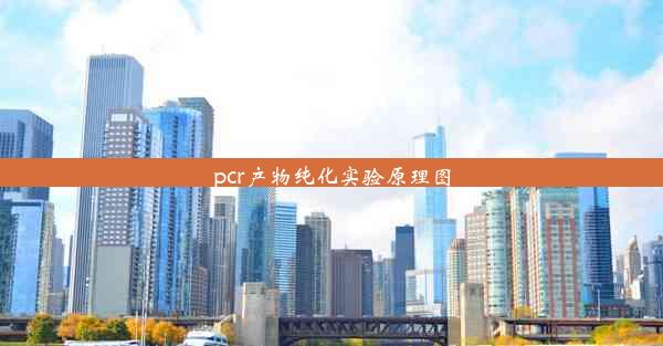 pcr产物纯化实验原理图