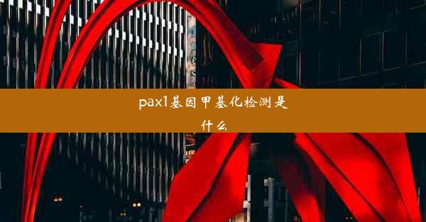 pax1基因甲基化检测是什么