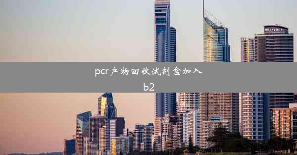 pcr产物回收试剂盒加入b2