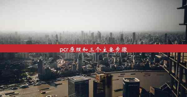 <b>pcr原理和三个主要步骤</b>