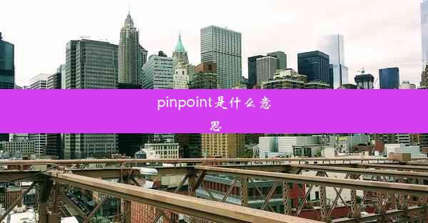 pinpoint是什么意思