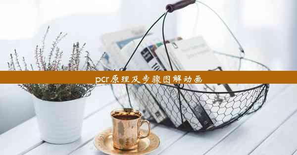 pcr原理及步骤图解动画