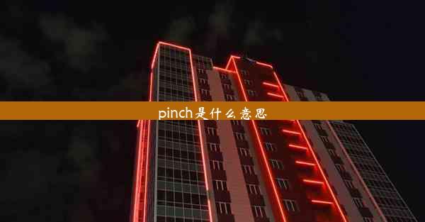 pinch是什么意思